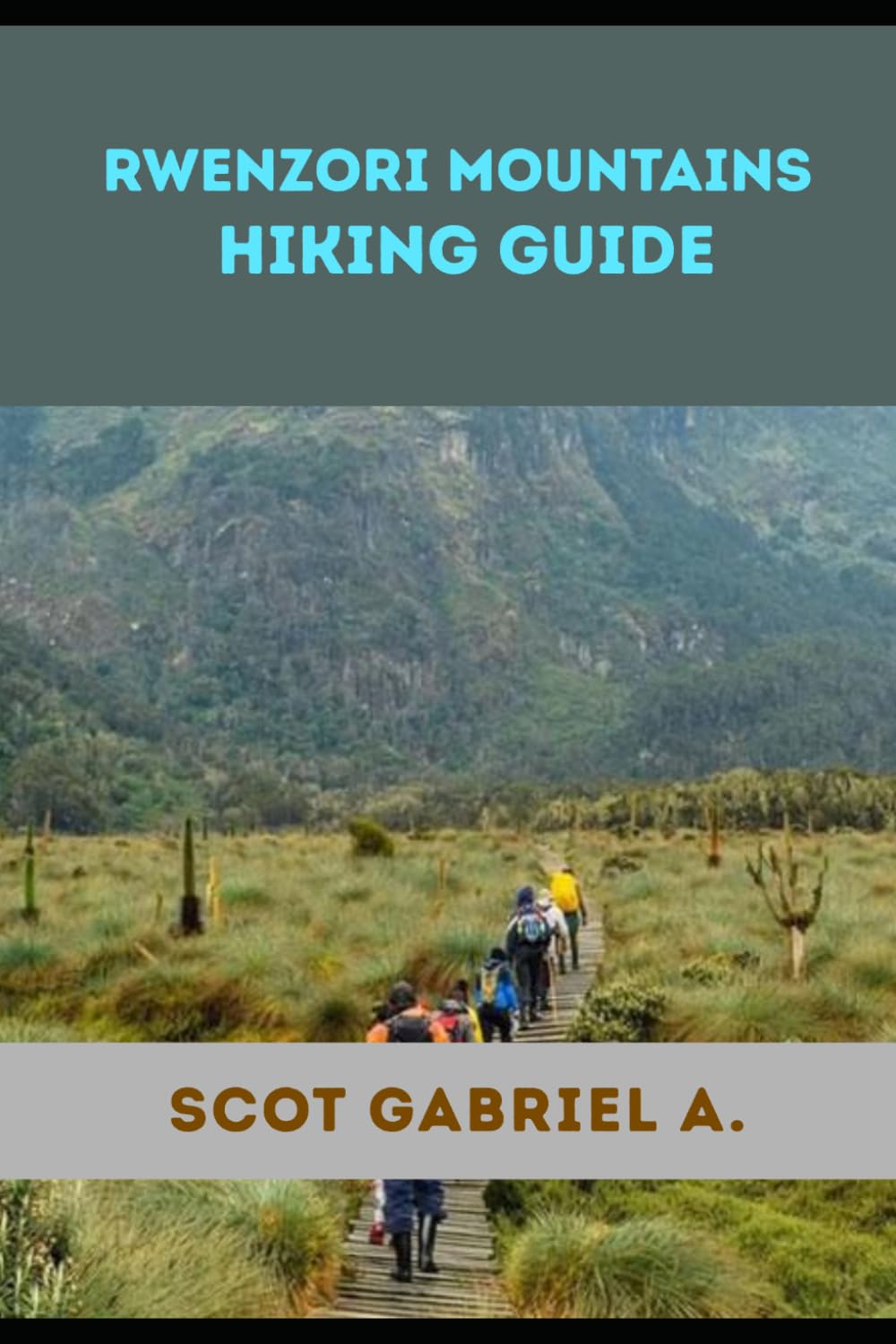 RWENZORI MOUNTAINS HIKING GUIDE (The Explorer’s Hiking Collection)