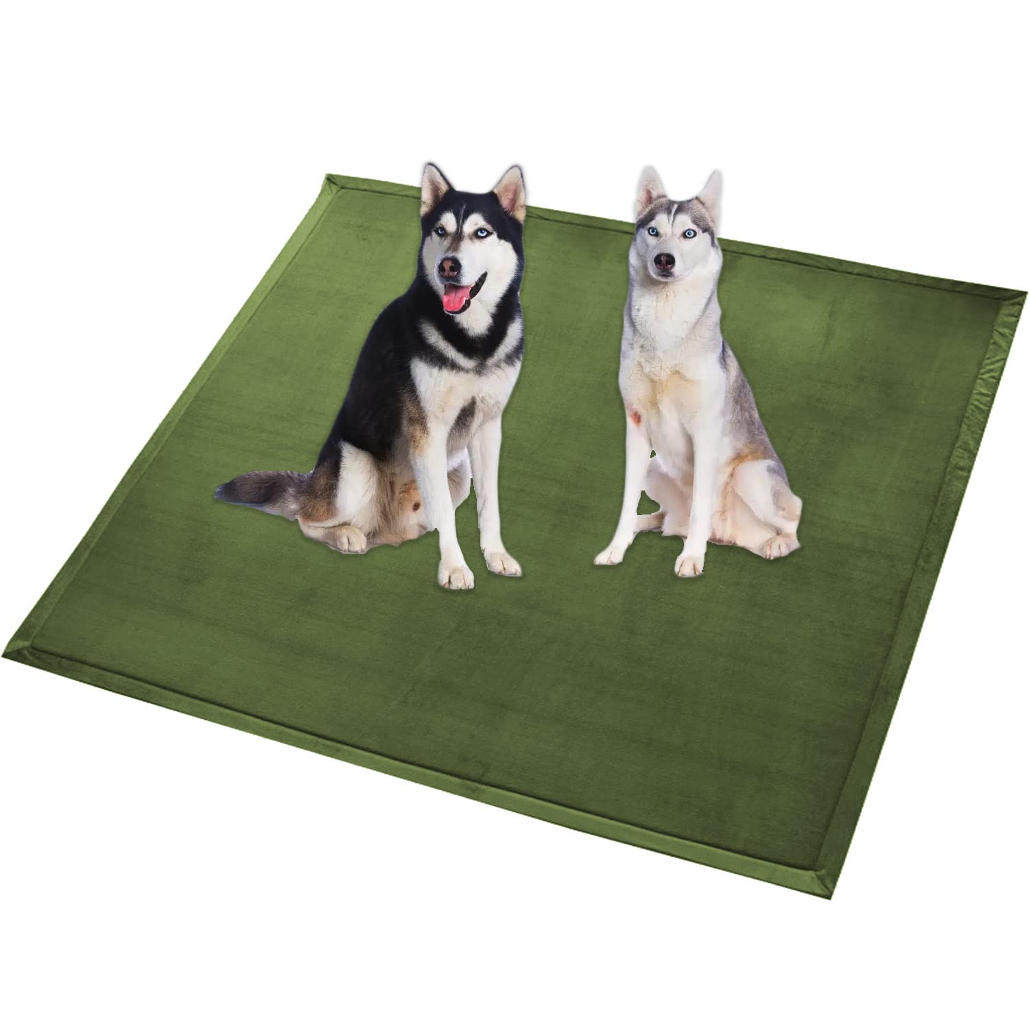 Waigg Kii Extra Large Dog Bed Mat XXL Dog Matress,Soft Coral Velvet Area Rug Non-Slip Washable Cat Sleeping Mat Anti-Anxiety Dog Cushion (120 * 120CM,Green)