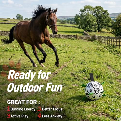 Image of QDAN Large Dog Toys, Soccer Ball for Dogs with Straps, 9 Inch Big Dog Ball | Training Soccer Balls for >90 lbs Dogs, Giant Herding Ball for Dogs, Interactive Water Pool Toys for Tug Chase, Dog Birthday