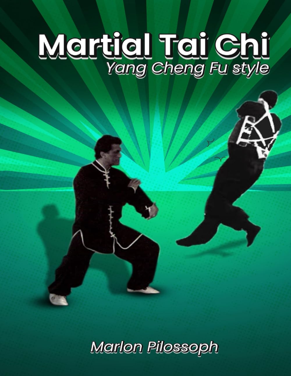 Martial Tai Chi: Yang Cheng Fu Style