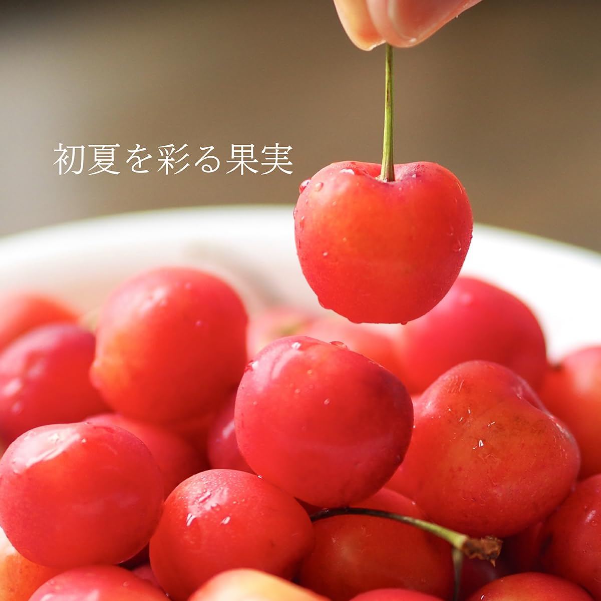 Amazon.co.jp: 国内産 佐藤錦 さくらんぼ 1パック 180g : 食品・飲料・お酒