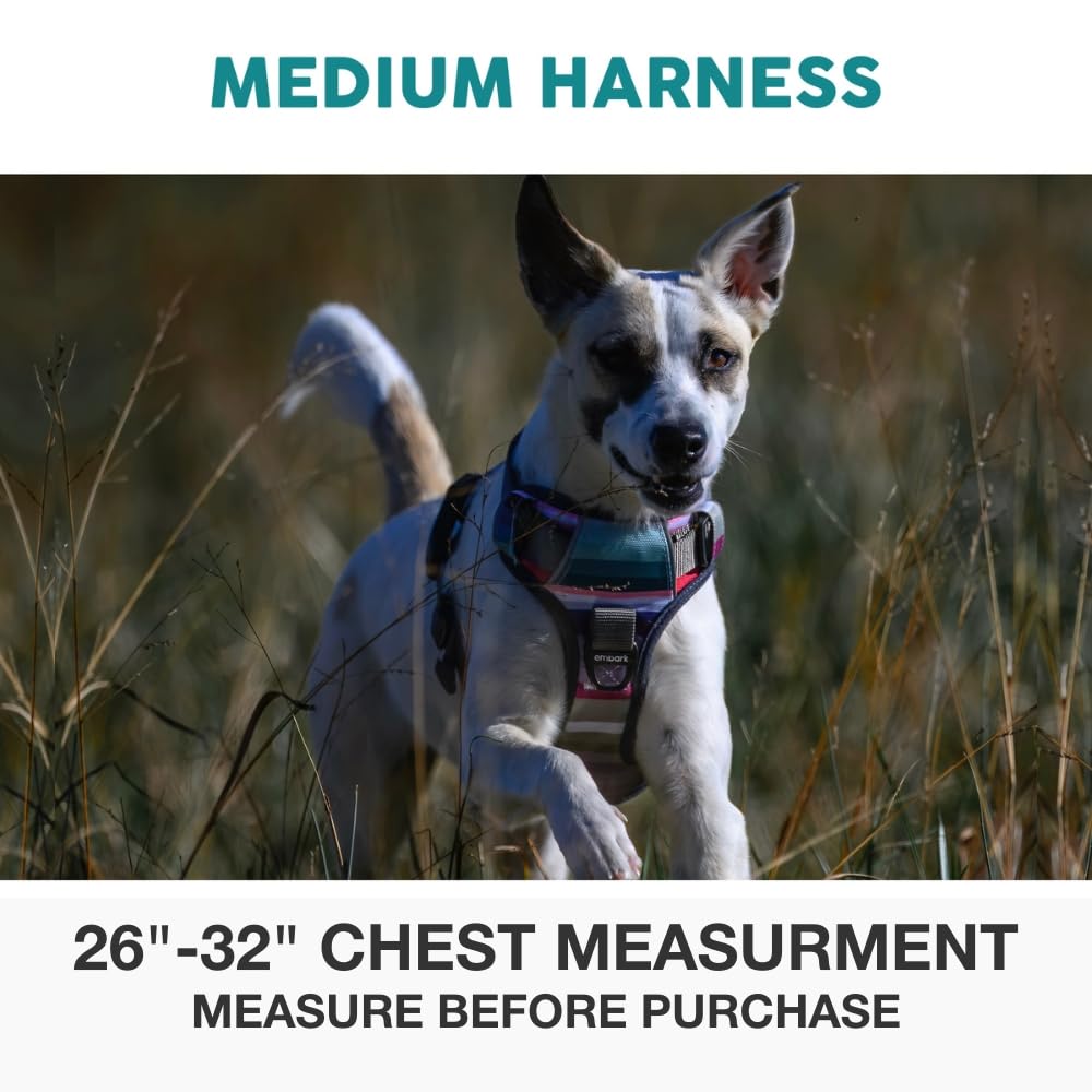 Embark Pets Dog Harness Urban Harness Baja Medium
