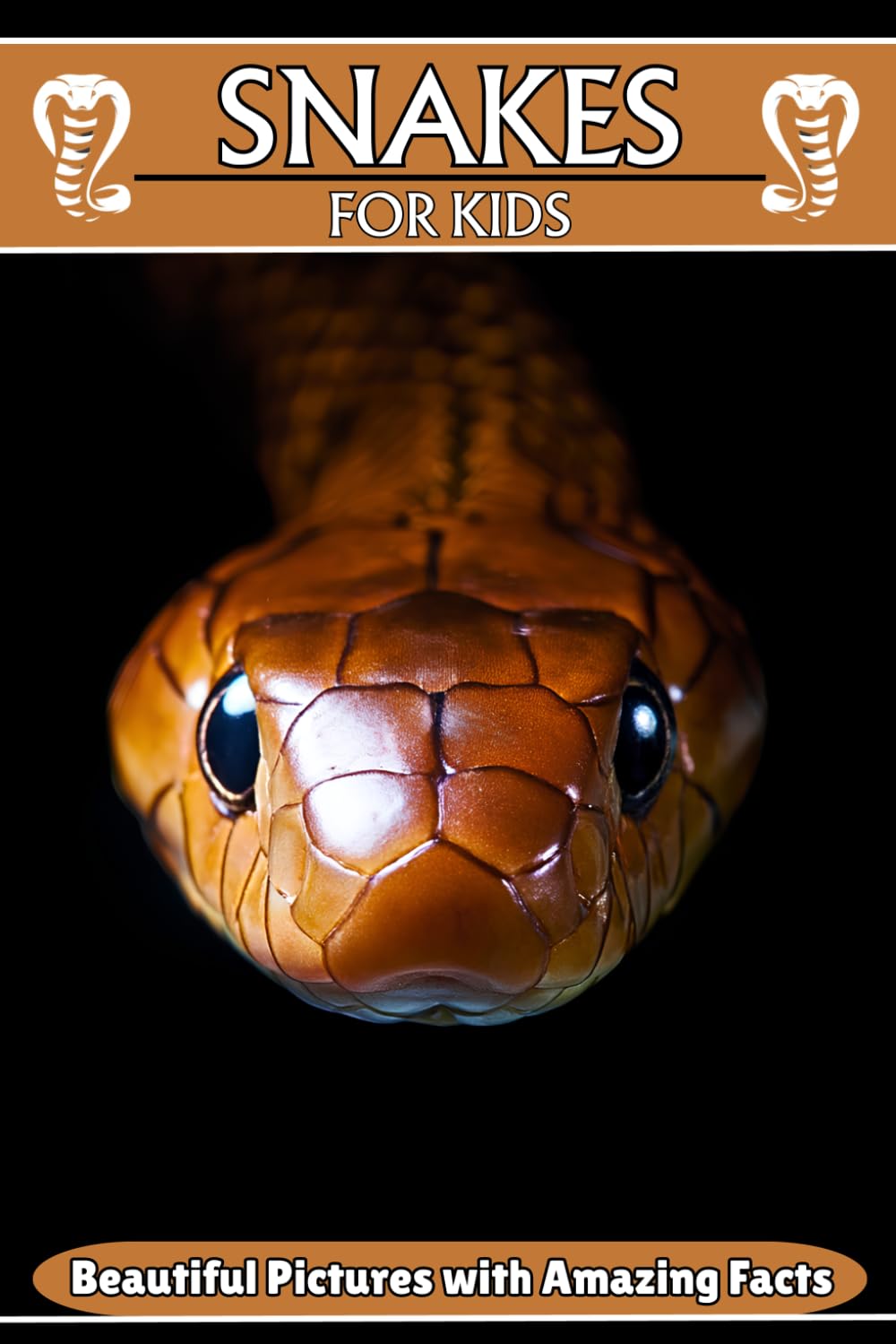 Snakes for Kids: Beautiful Pictures with Amazing Facts