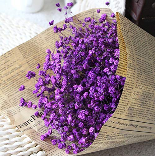 WDOIT - Ramo de Flores secas Naturales para decoración de casa, jardín, casa, Boda, Fiesta, 1 Unidades