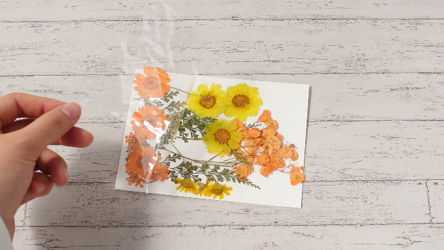 77 piezas flores secas prensadas otoño decoración miniatura 7