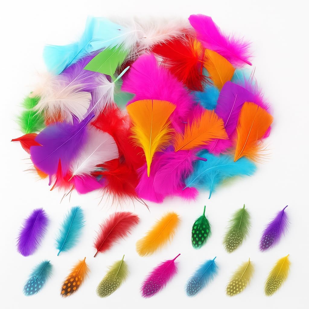 Feathers for Crafting – 500 Coloured & Spotted Craft Feathers for Hats, Art, Collage, Costumes & Millinery Supplies