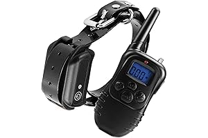 Electric Shock Neck Collar - Evoke Magical Thrills