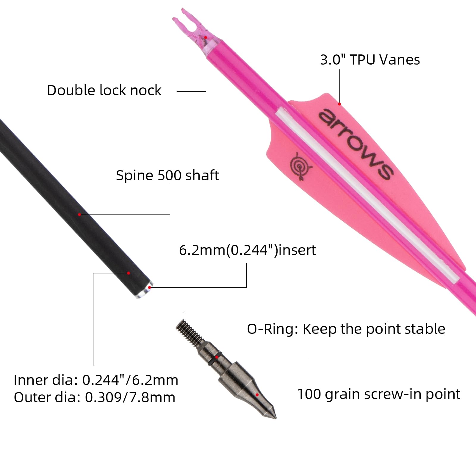 S F 76,2 cm Carbon-Pfeile für Bogenschießen, Ziel-Übungspfeile mit abnehmbaren Spitzen für Recurvebogen und Verbundbogen (12 Stück), Mehrfarbig