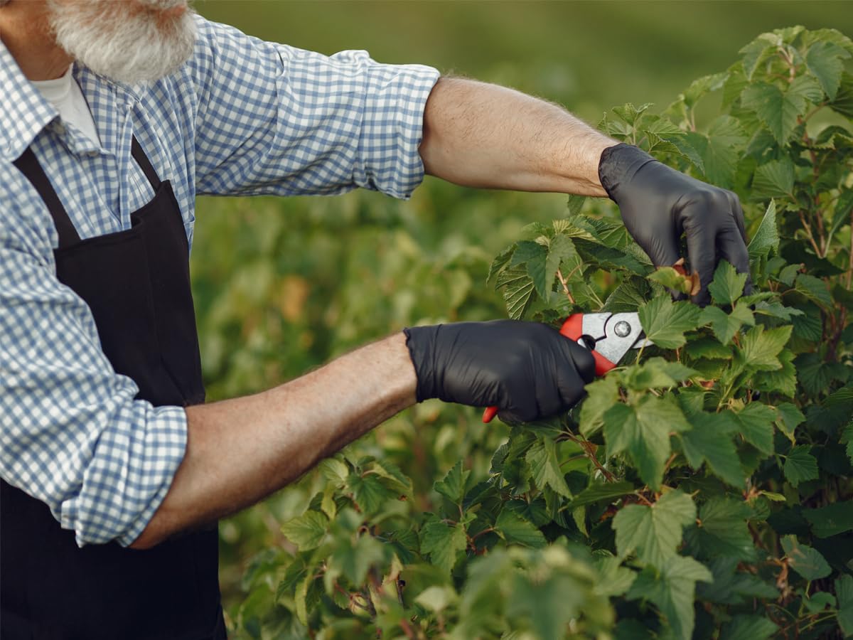 GUANTI IN NITRILE L - Ingco Italia - Foto 10