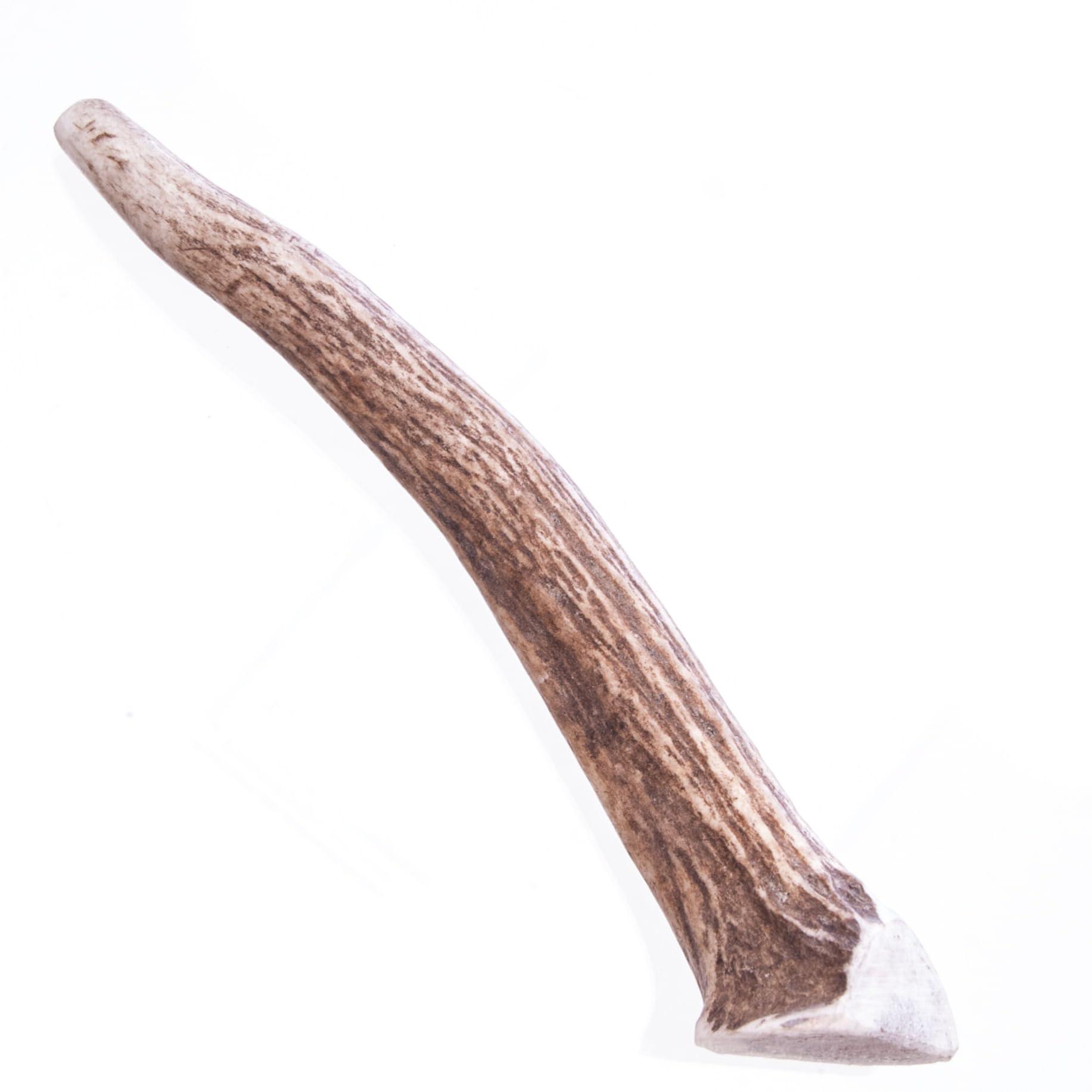 Big Sky Antler Chew, Medium 1ct
