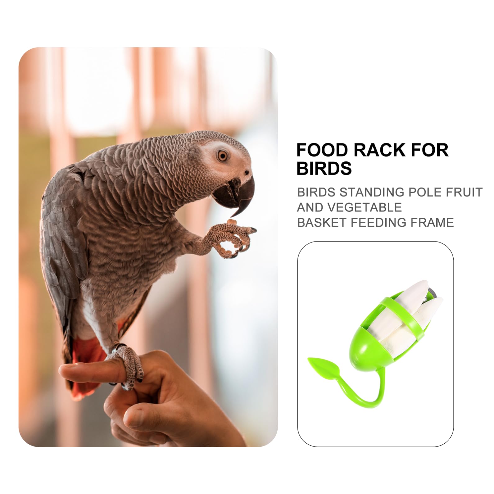 DOITOOL 6pièces Jouet à Mâcher De Seiche pour Oiseaux avec Support Suspendu Accessoire pour Perroquets Perruches Et Cockatiels