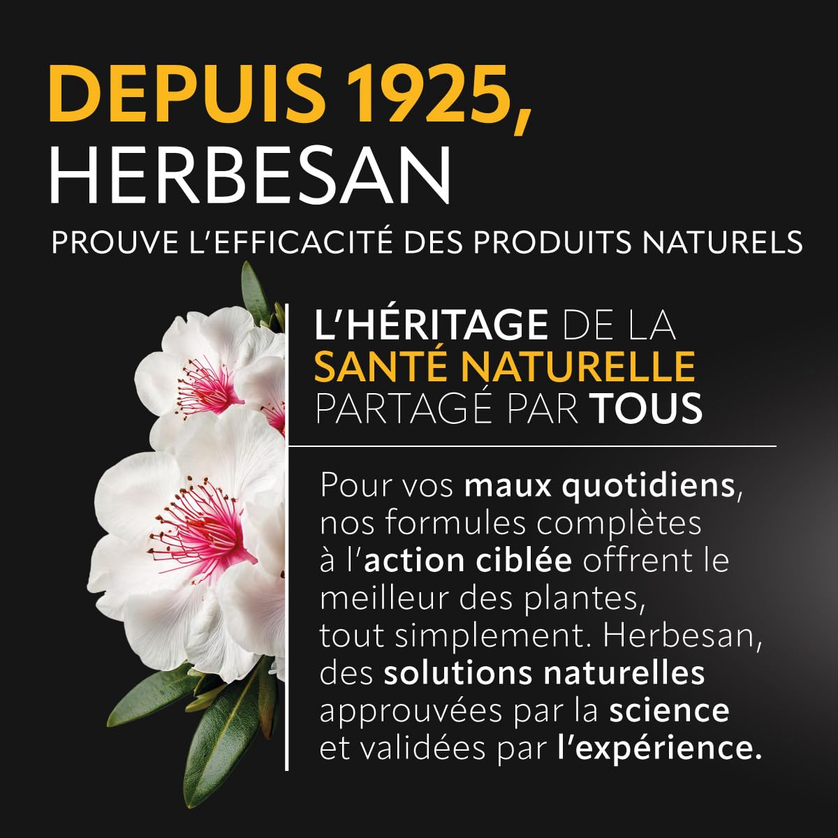 HERBESAN®- MIEL DE MANUKA ACTIF - IAA18+ (MGO696+)- Origine Nouvelle-Zélande garantie - 100% miel de manuka - Pot de 250G