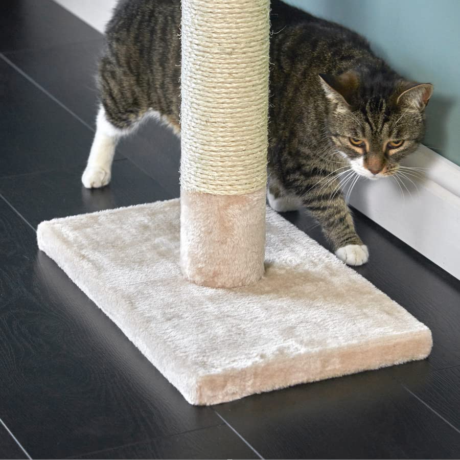 Runesol Reinforced Cat Tree 240288cm Floor to Ceiling, Tall Ceiling to