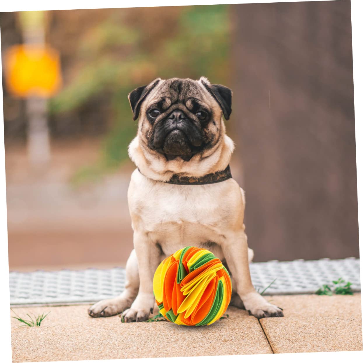 FRCOLOR 2 Bolas de olfateo para Perros, Juguetes para Masticar para Perros, Juguetes para Comida para Mascotas, comederos para Gatos, Juguetes para Mascotas, Juguetes para Mascotas