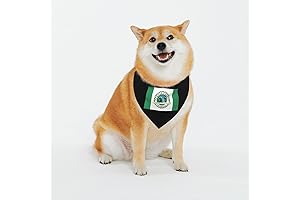 UGa Dog Bandana: Gear up Your Pup in Bulldog Pride