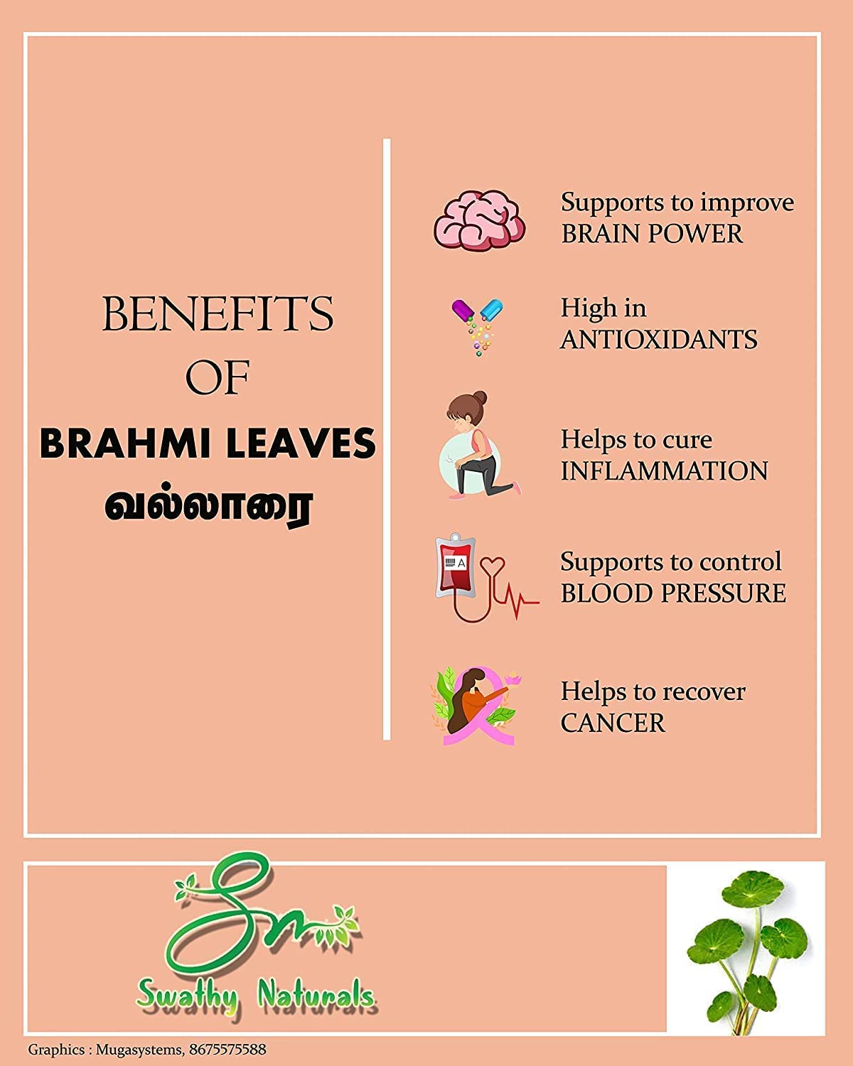 CROW SWATHY Naturals Vallarai-Pulver, 100 g/Brahmi-Blätterpulver/Centella Asiatica/Vallarai, 100 g