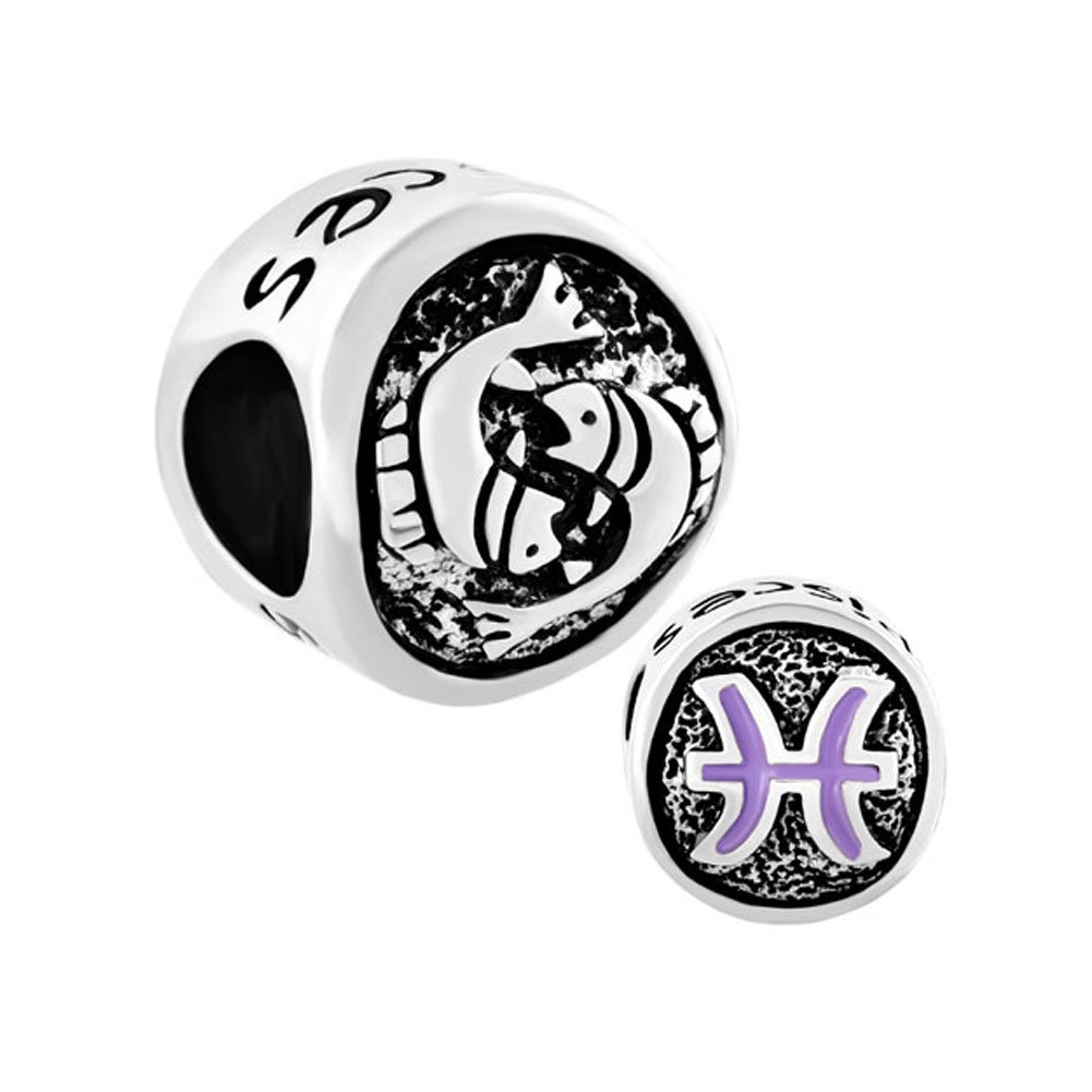 Charmed Craft 12 Constellations Horoscope Zodiac Charms Birthday Charms Beads for Bracelets