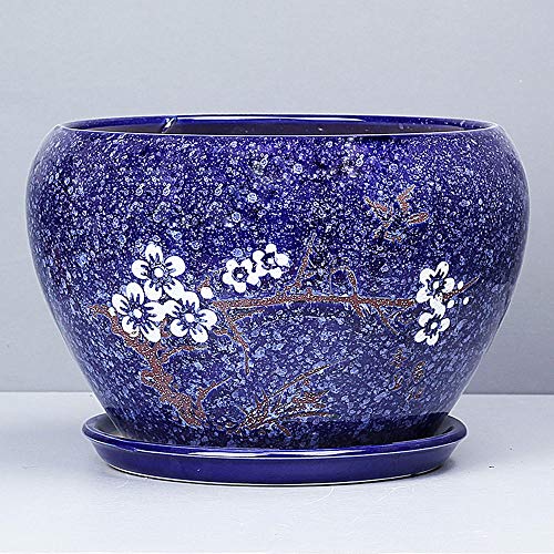 Pot de fleur bleu céramique grand format pour rempoter facilement vos succulentes