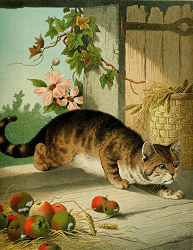 Four-footed Favourites c.1880 Our Tom Poster Print...