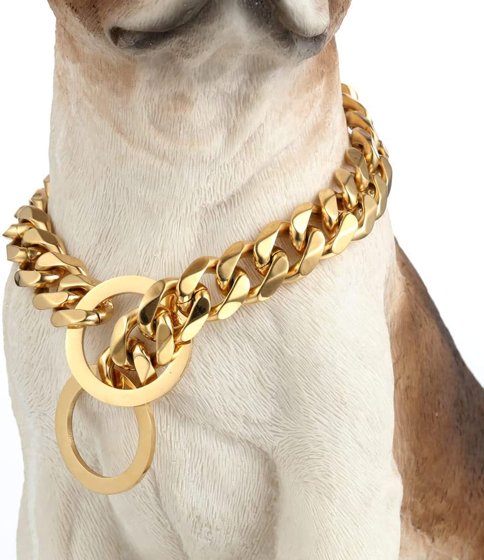 Collier pour chien en or pour des promenades quotidiennes
