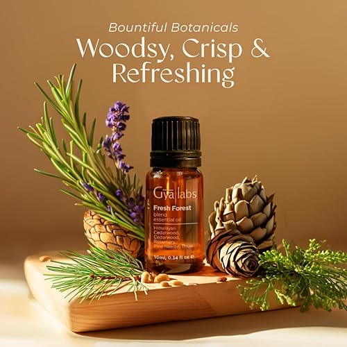 Miniatura 3 de Gya Labs Fresh Forest - Difusor de mezcla de aceites esenciales, juego de aceites esenciales de bosque fresco para aromaterapia, velas y bricolaje,