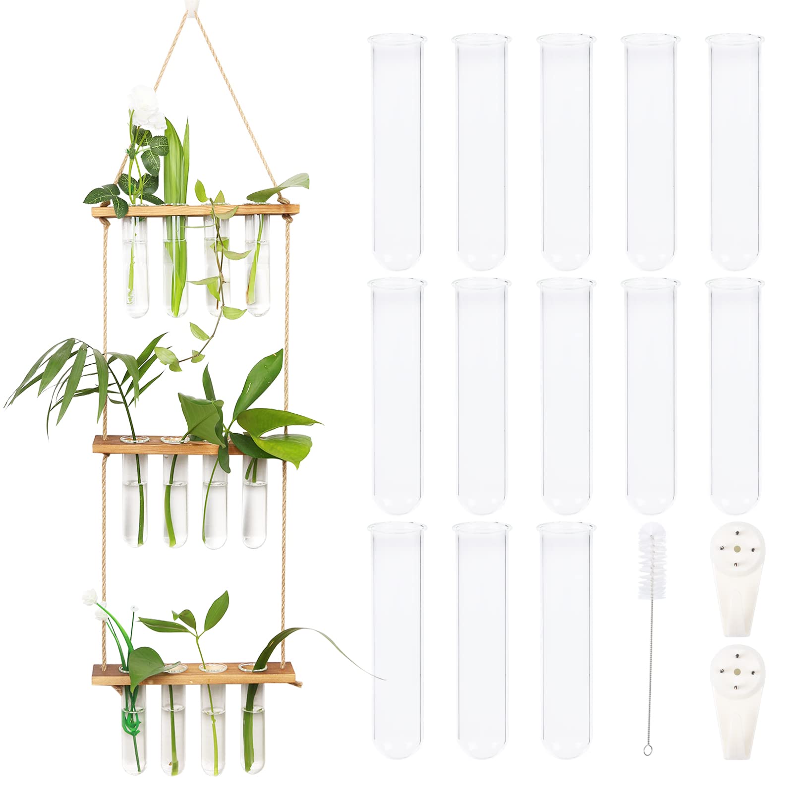 Buy Wall Hanging er Glass Terrarium 3 Tiered Propagate Station with