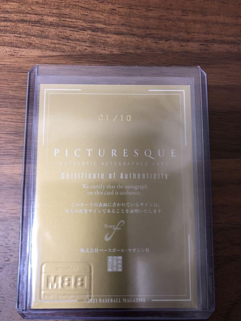 【超美品・保証書付】山口航輝 プロ初HR記念 直筆サイン入りパネル／保管品 プロ初HR】山口航輝 直筆サイン入り フォトパネル 今後期待の若手 ミント