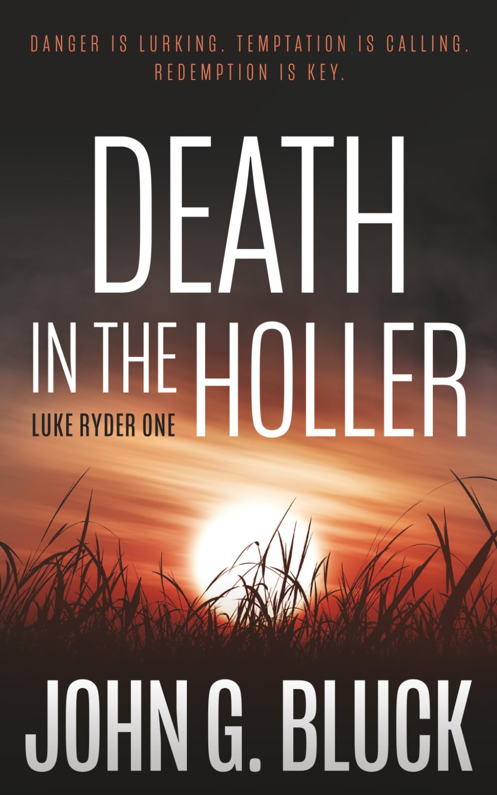 Buy Death in the Holler: A Mystery Detective Thriller Series: 1 (Luke Ryder) — BookShops.in