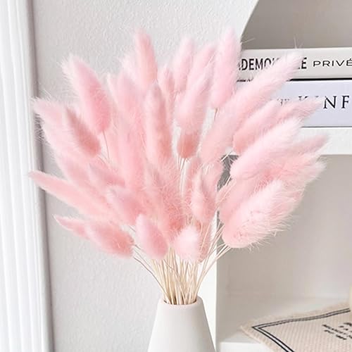 60 piezas de flores secas de cola de conejo, arreglo floral natural seco, ramo de decoración de hierba seca, flores eternas secas para el hogar,