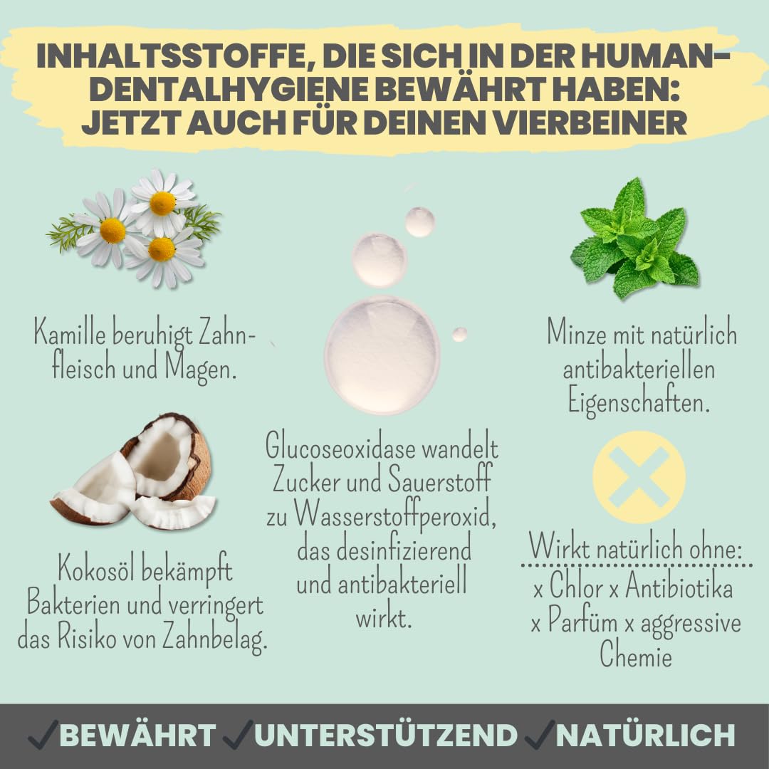 noms+ Enzymodent Enzymatische Hundezahnpasta mit natürlicher Pflege- und Präventionsformel gegen Mundgeruch und Zahnstein beim Hund
