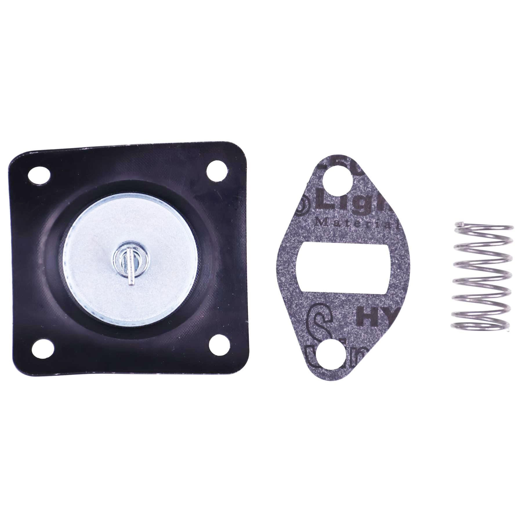 Amazon.com: ZTUOAUMA Fuel Pump Rebuild with Spring Kit