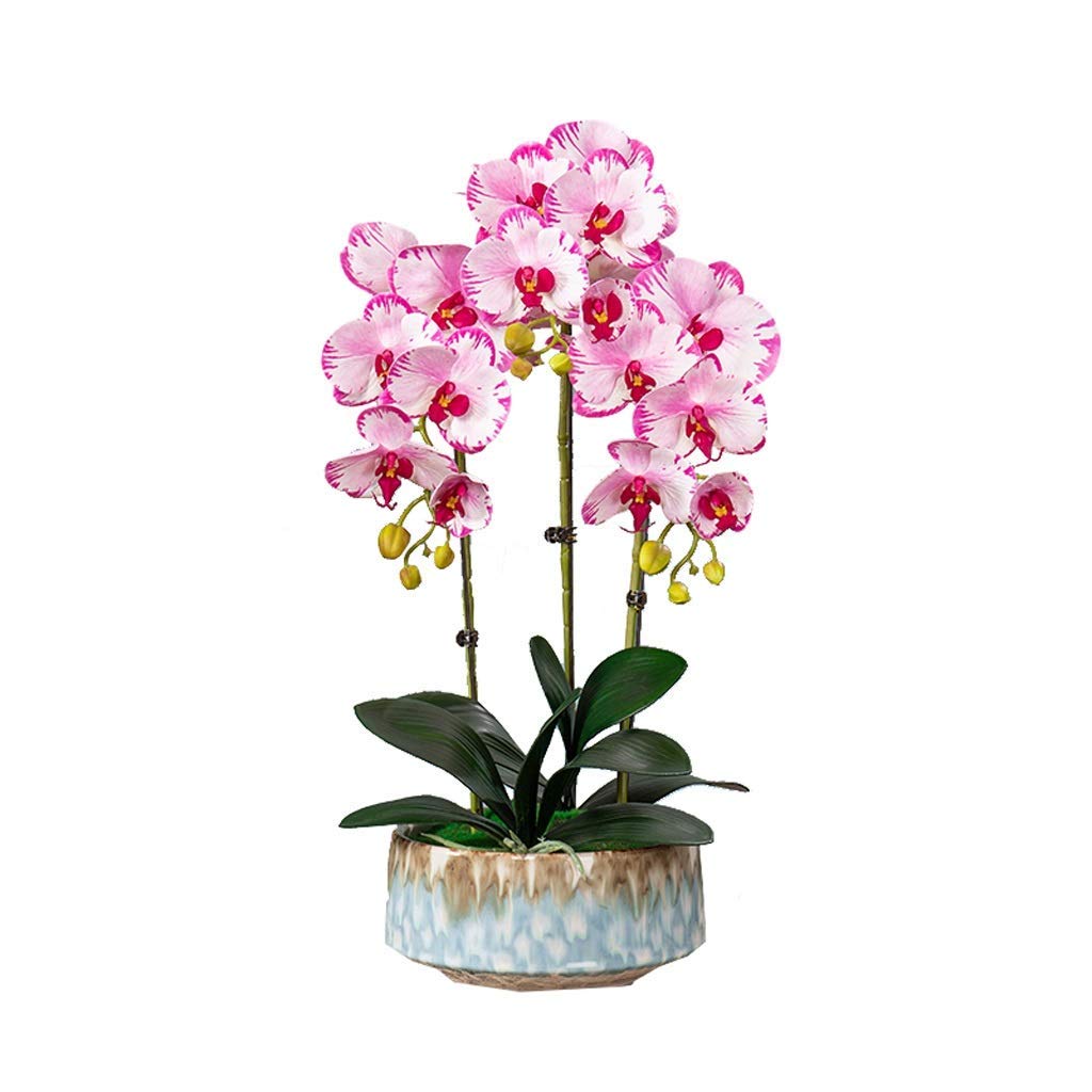 IUokLU Artificial Orchid Flowers,Potted Butterfly Orchid, Artificial Orchid with Planter Set - Faux Phalaenopsis Bonsai in Vase Fake Flower with Pot