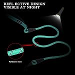 Heavy Duty Dog Leash - Durable & Reliable Pet Leash for Walking, Training & Control - Reflective for Safety - Adjustable Length - Comfortable Handle - Suitable for Large & Small Dogs (Green)