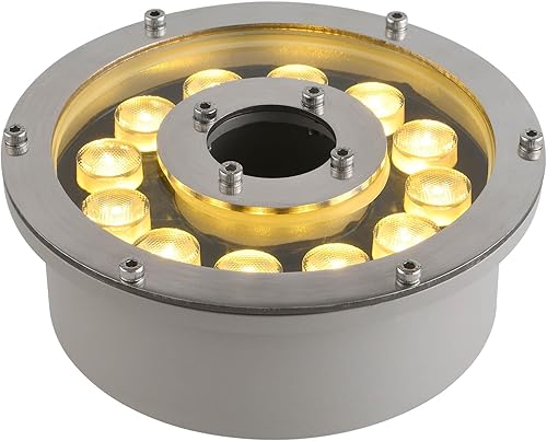 Luz de fuente de 12 W, 12 V CC, blanco cálido, impermeable, grado IP68, luz LED de paisaje, adecuada para fuentes, cascadas, estanques y tierra de