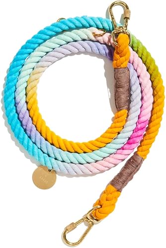 Miniatura 5 de Found My Animal - Correa de perro de cuerda de algodón degradada Abaco (pequeña) - Correa de entrenamiento de perros resistente - Mosquetones