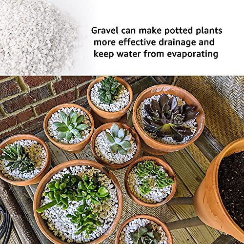 Image of 18lb White Cactus Pea Gravel Rocks,1 /4 Inch Pebbles for Indoor Plants, Natural Succulent Rock and River Rocks Decorative for Aquariums, Vases, Outdoor Gardening, Top Dressing for Potted Plants