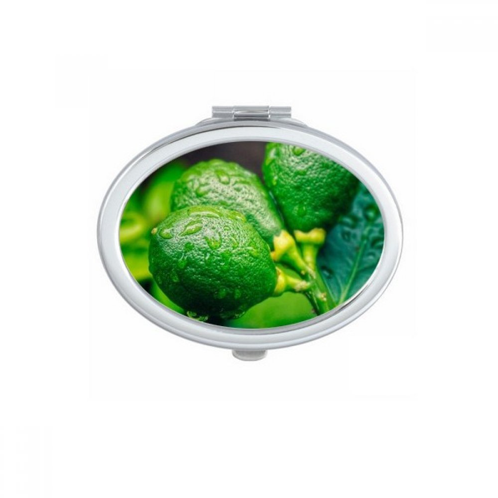 Miroir de maquillage ananas frais mignon miroir de poche cadeau fait main