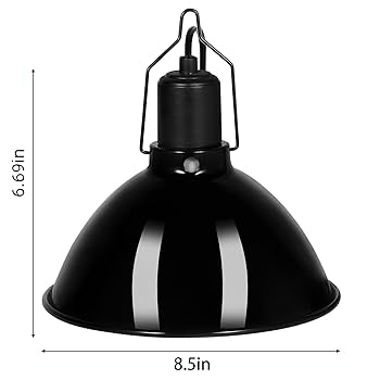 Lamp Live at WWWX ソノシート Lamp Live at WWWX ソノシート