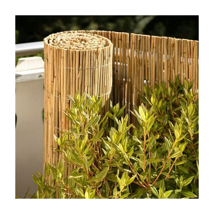 Buy Extra Thick Bamboo Screening, EcoFriendly Privacy Fence, Extra