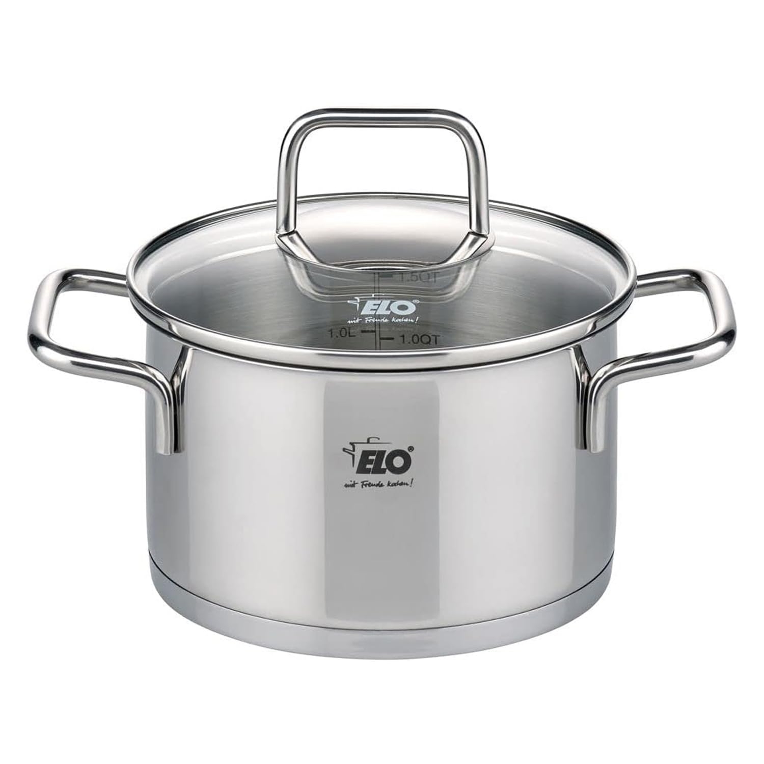 ELO Pentola in Acciaio Inox a Induzione Con Coperchio in Vetro, 20 cm