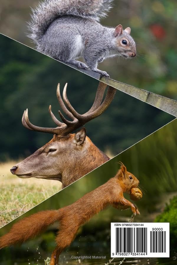 Animal Facts Book: The Ultimate Animals Trivia For Animal Lovers, 300 Multiple Choice Questions about Unusual and Cute Animals For Kids And Adults - Image 2