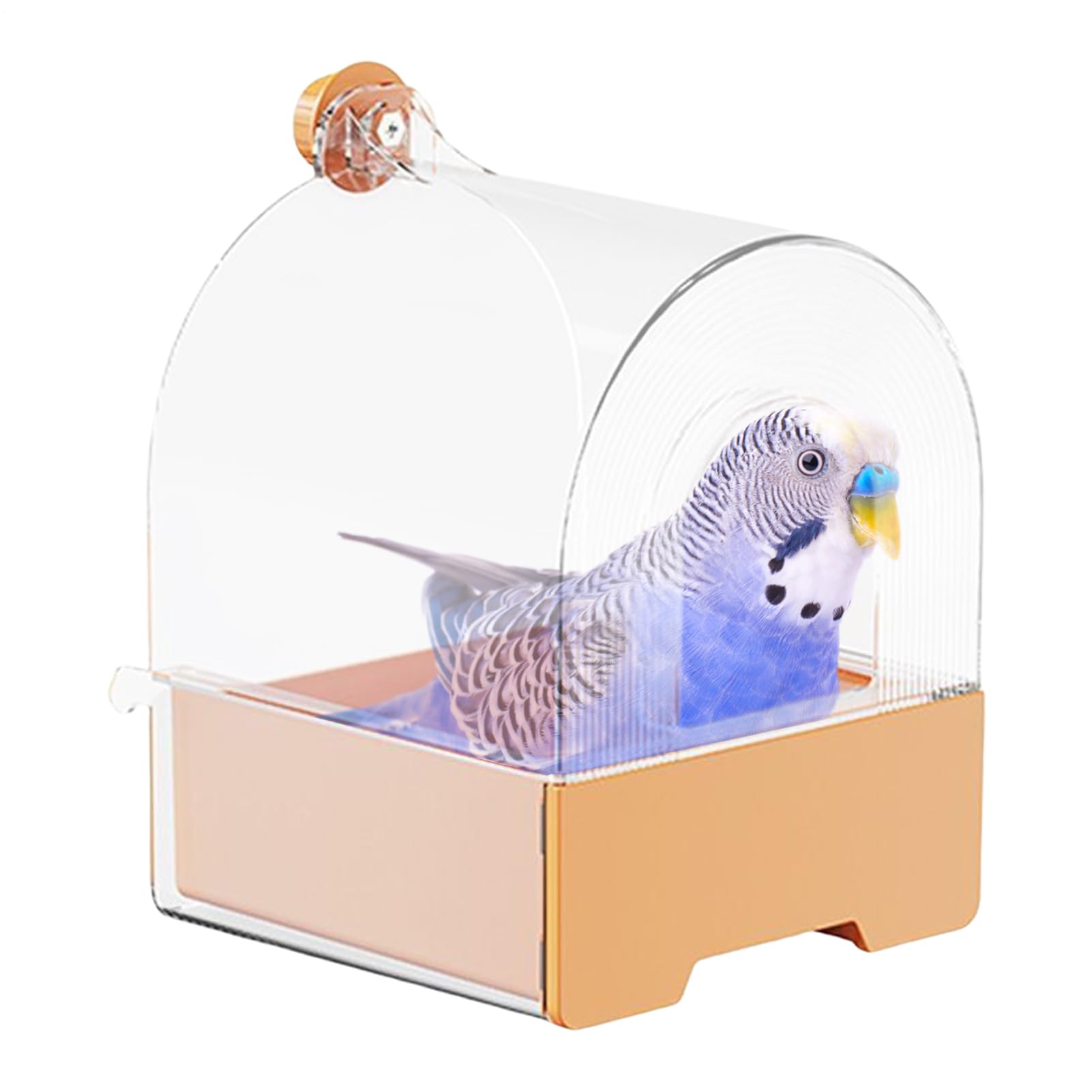Bain pour cage d'oiseaux stable et sécurisé pour terrasse et jardin