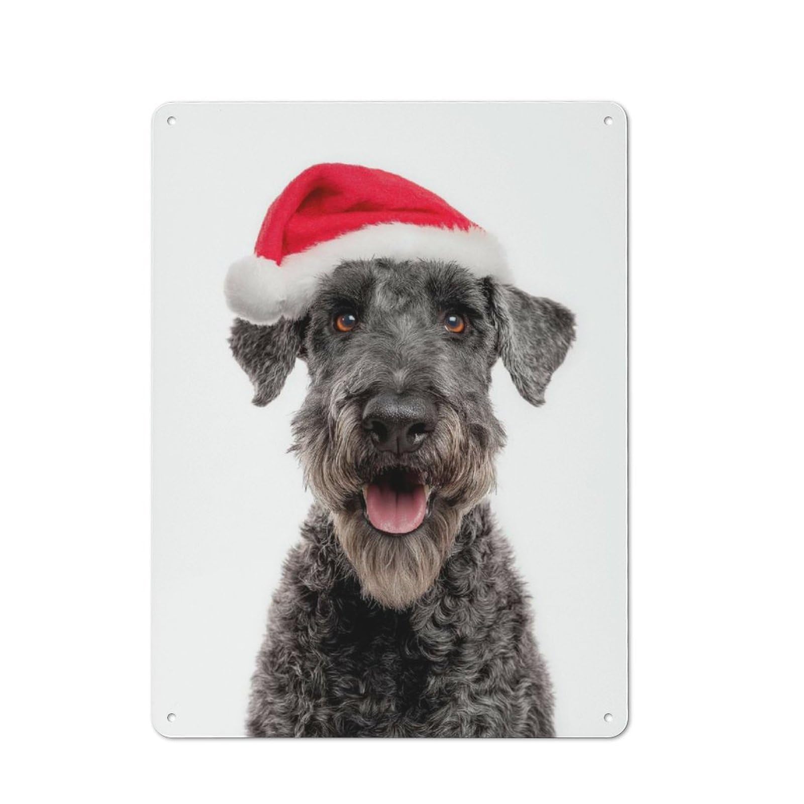 Junmoney Kerry Blue Terrier Dog With Santa Hat On Whit E Printed Metal Sign 40X30cm For Café Or Restaurant, New-Space Wall Decor For Café Owners And Decorators