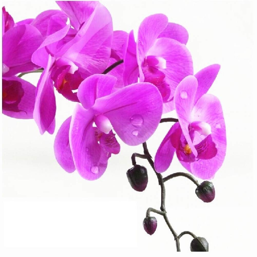 Lot de 5 orchidées papillon artificielles real touch pour décoration