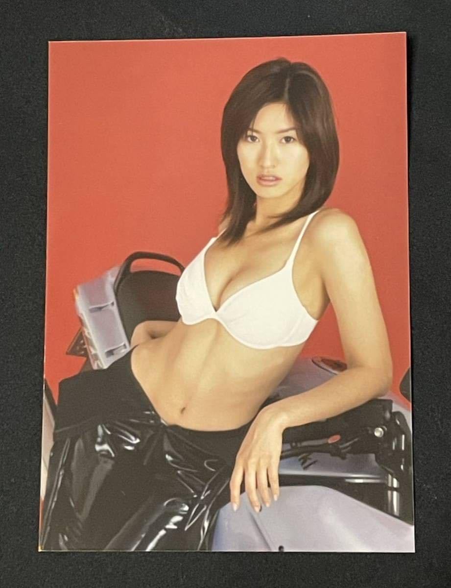 Amazon.co.jp: 森下千里 生写真 3枚 グラビアアイドル レースクイーン