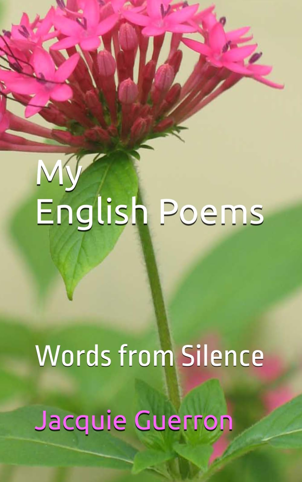 My English Poems: Words from Silence