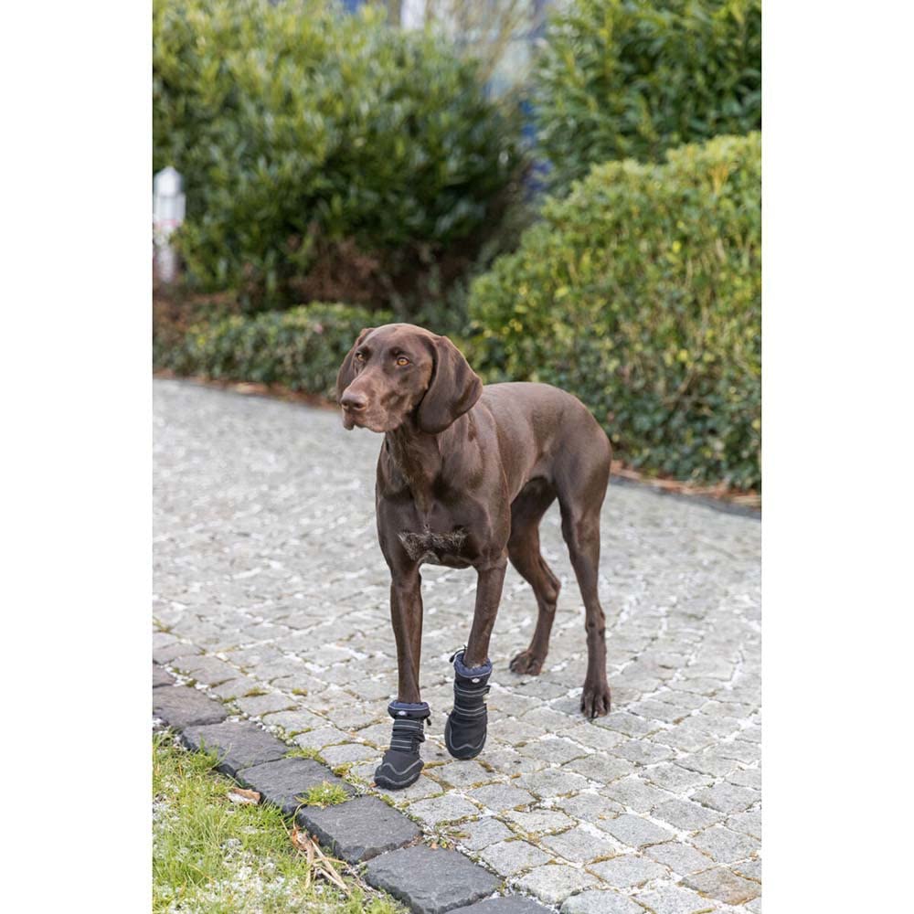 Deambulatore di protezione per gambe attivo, L–XL, nero