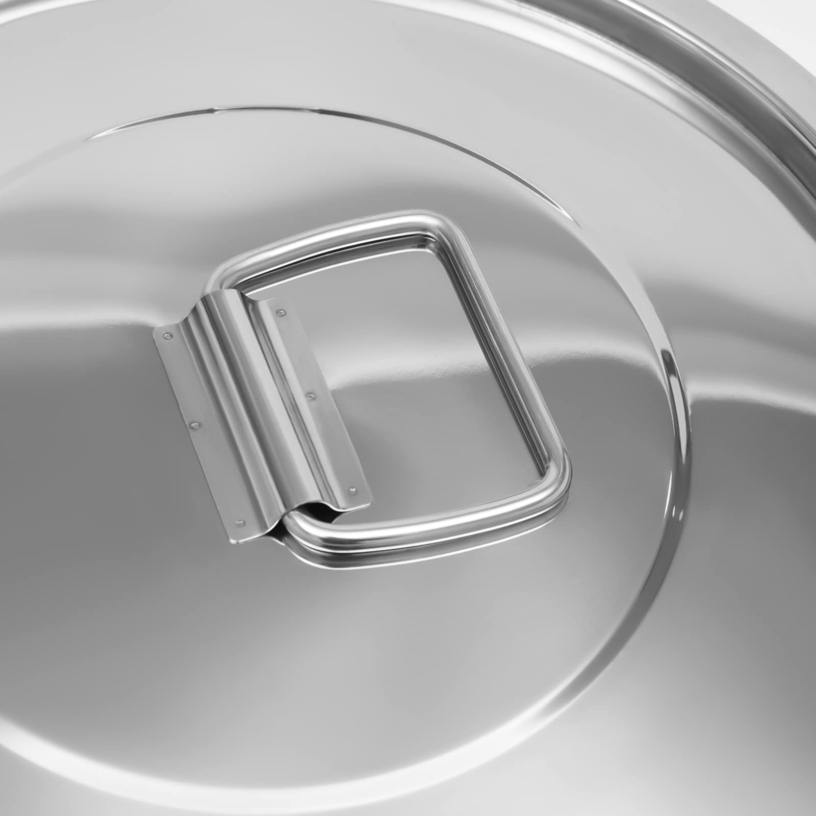 Contenitore per cereali da cucina, per farina, cereali, latte, con coperchio, in acciaio inox, ermetico, contenitore per cereali da cucina, contenitore per farina e manici (21 L)