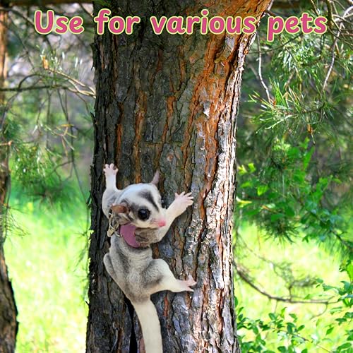 Image of Bearded Dragon Harness and Leash with Bunny Ears Set, Bearded Dragon Hats, Reptile Leash and Cute Hat, Costume Small Reptile Supplies for Gecko Squirrel (Pink Bunny)