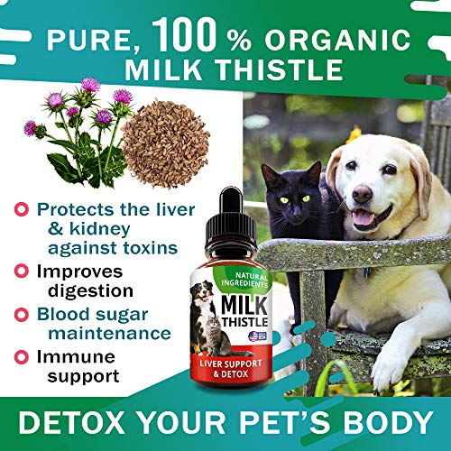 Liver Support Supplement For Dogs & Cats - Milk Thistle Liver Support - Canine Hepatic Care - Cat & Dog Liver Cleanse - Max Effect Liquid Drops #TOP2